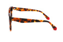 Fendal Eyewear OTTAWA C1