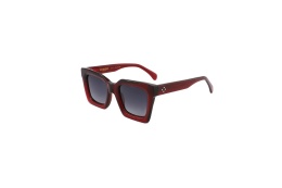Fendal Eyewear BROOKS C2 DEMI